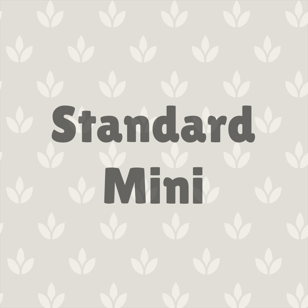 Standard Mini Booth 7'x10'