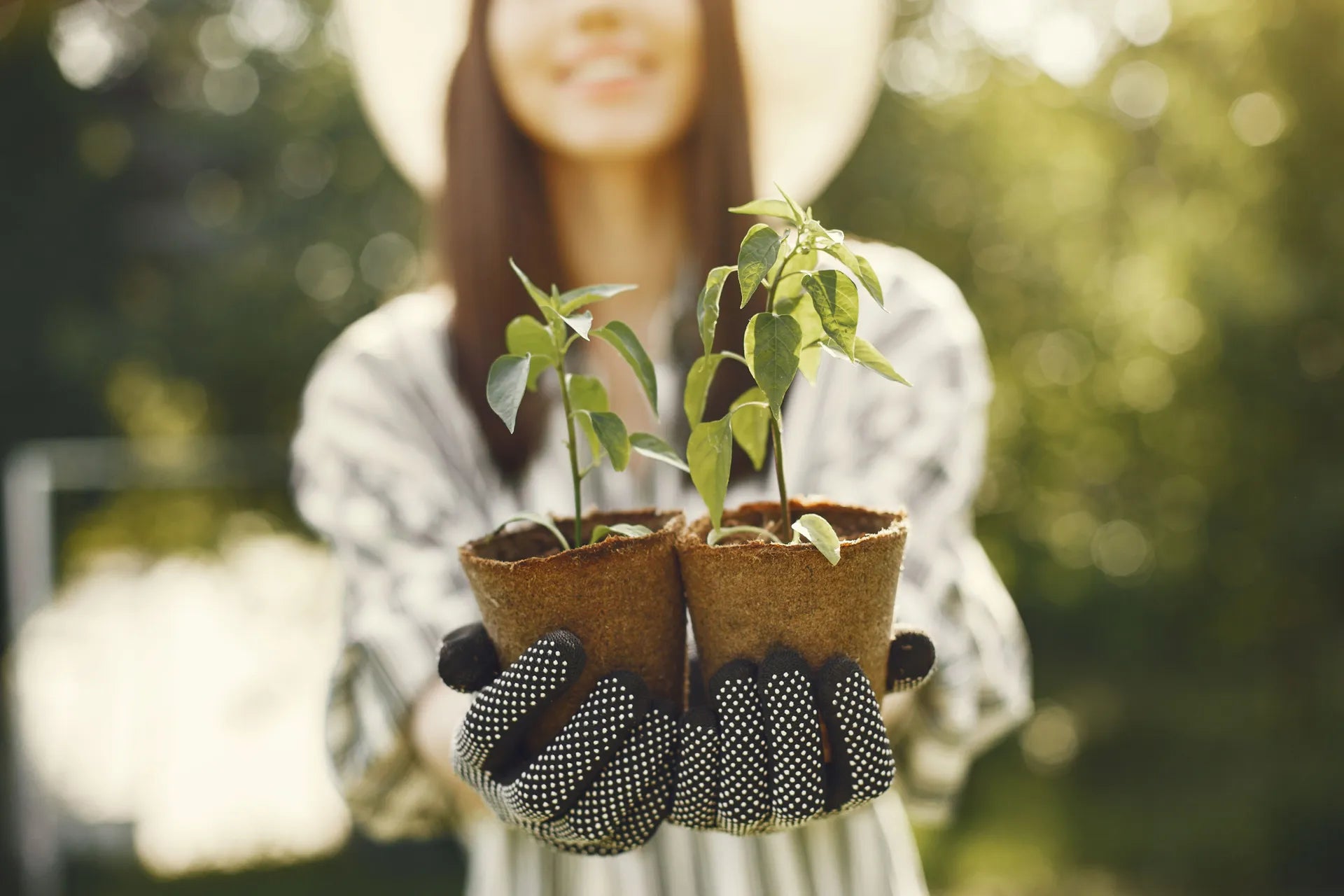 A smiling woman in a white hat and patterned shirt holds two small green seedlings in biodegradable brown peat pots, wearing black gardening gloves, with a soft-focus green garden background.
